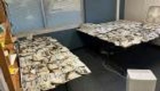 نيران الصناديق الانتخابية.. هل تدخل الانتخابات الأمريكية دوامة العنف؟