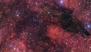 صورة الذئب المظلم التي نشرها المرصد الجنوبي الأوروبي