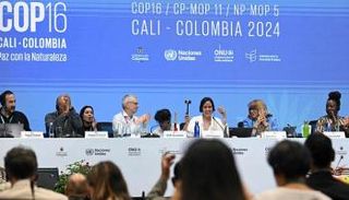 مؤتمر COP16