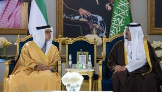 جانب من استقبال الشيخ منصور بن زايد آل نهيان