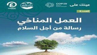 نشرة أخبار COP29