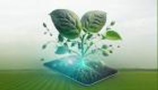 COP29.. قفزة باستثمارات «الابتكار الزراعي للمناخ» إلى 29.2 مليار دولار