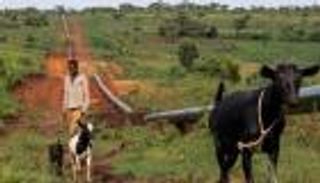 أطول خط أنابيب للنفط الساخن في العالم.. أوغندا تكشف موعد التشغيل