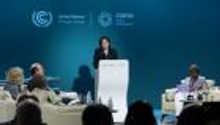 COP29.. جلسة ختامية تدعو لتوجيه التمويل المناخي لحماية الغابات