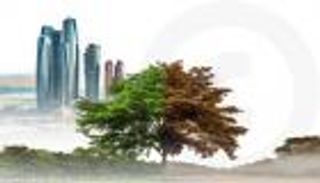 COP29.. تقدم كبير في تنفيذ استراتيجية التغير المناخي لـ«أبوظبي 2023-2027»