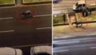 حصان يتجمد من شدة البرد في تركيا بعد مغادرة صاحبه