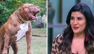 الإعلامية أميرة شنب صاحبة الكلب