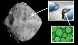 147 ميكروبا أرضيا يستعمر عينات الكويكب "ريوجو"