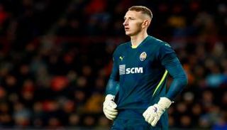 دميترو ريزنيك