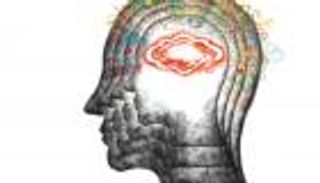 ميكروبيوم الدماغ.. هل يمكن أن يساعد فهمه في منع الخرف؟