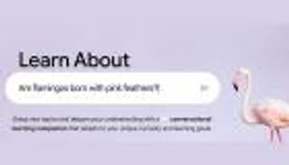 غوغل تُطلق تطبيق «Learn About» للتعليم التفاعلي.. إليك مميزاته