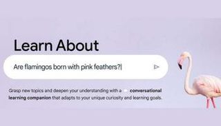 تطبيق Learn About
