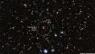 باستخدام تلسكوب «ويب».. اكتشاف مجرات جديدة في «شبكة العنكبوت»