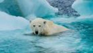 أول يوم خال من الجليد في «القطب الشمالي».. هل اقترب؟