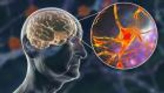 13 بروتينا تكشف أسرار شيخوخة الدماغ.. اكتشاف ثوري للوقاية من الخرف