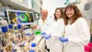 اختراق علمي.. إنتاج أول قلب مصغر يولد الدم في المختبر