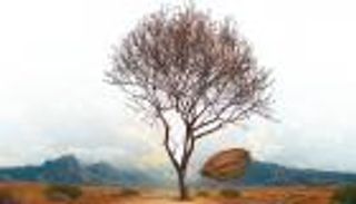 الغموض يُغلّف درجات الحرارة في العالم.. العلماء يتحدثون عن مجهول