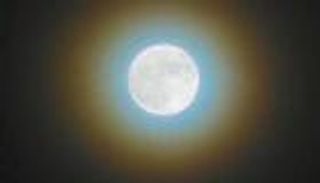 كل ما تريد معرفته عن طوق إكليل القمر الشتوي وألوانه الزاهية