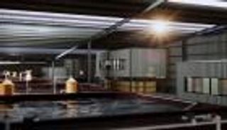 استزراع الروبيان بأبوظبي.. شراكة استراتيجية بين القابضة ADQ وشركة كورية جنوبية