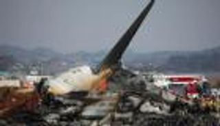 هل اصطدمت طائرة كوريا الجنوبية بطائر؟ خبراء يجيبون