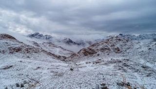 ثلوج في تبوك