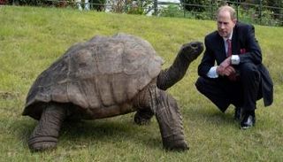 الأمير إدوارد يلتقي السلحفاة جوناثان