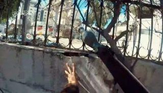 أحد عناصر حماس يطلق قذيفة على دبابة