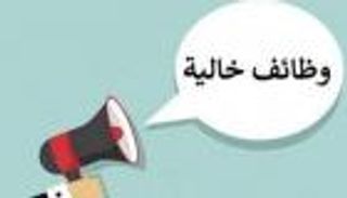 برواتب تصل لـ7500 جنيه.. الشباب والرياضة في مصر تعلن عن وظائف شاغرة