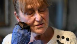 باربرا غوريكا تحمل خفاشًا