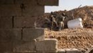 «فطريات غزة».. «جبهة موازية» تطارد جنود إسرائيل