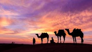 السياحة البيئية في الإمارات