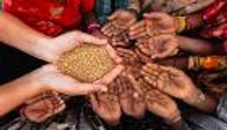 كيف يواجه العالم أزمة الغذاء المرتقبة؟.. قمة الحكومات تضع الحل