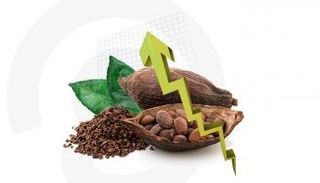 قفزة بأسعار الكاكاو عالمياً