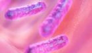 اختراق علمي.. بكتيريا تنتج الكهرباء النظيفة من الهواء الجوي