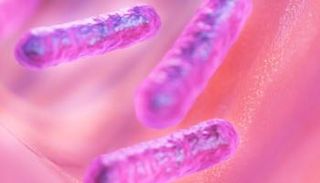 البكتيريا تنتج الكهرباء النظيفة