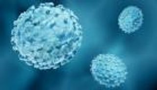 بعد تسجيل أول وفاة في العالم.. ما هو «جدري ألاسكا»؟