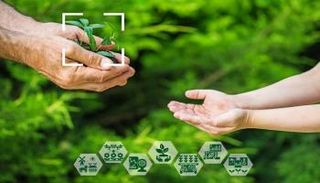 الزراعة الذكية تضمن وفرة الغذاء وحماية البيئة