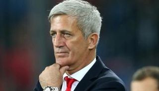 المدرب فلاديمير بيتكوفيتش