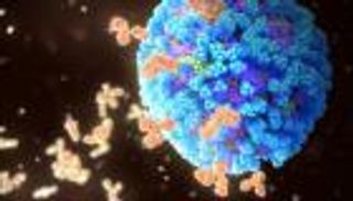 أجسام مضادة تكتشف "الجانب المظلم" من بروتين فيروس الإنفلونزا