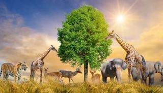 اليوم العالمي للأحياء البرية 2024