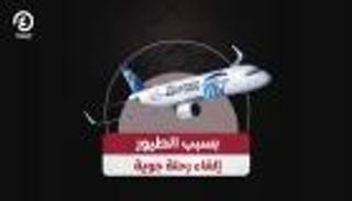 بسبب الطيور.. إلغاء رحلة جوية