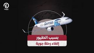 بسبب الطيور.. إلغاء رحلة جوية