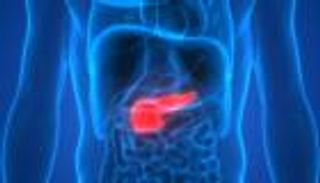 «طفرة سرطانات البنكرياس» تنهار أمام جزيء ذكي.. ما القصة؟
