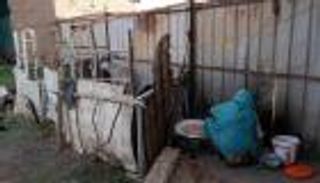 لسعات الجوع والبعوض.. «العين الإخبارية» ترصد الوجه الآخر لحرب السودان