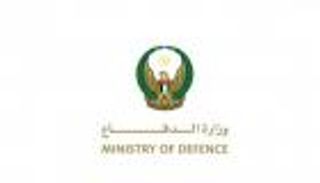 «طيور الخير».. الإمارات ومصر تنفذان خامس إسقاط جوي للمساعدات في غزة