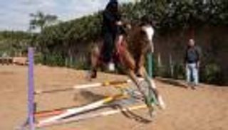 مصرية تقتحم عالم الفروسية بالنقاب والتنورة (صور)