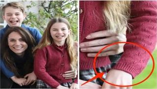 الصورة المثيرة للجدل لأميرة ويلز