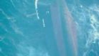 تدريب بحري روسي صيني إيراني مشترك في خليج عمان