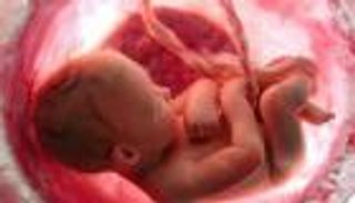 مراحل نمو الجنين.. دلائل إعجاز القرآن في نشأة الخلق (خاص)