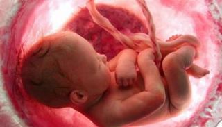 القرآن الكريم ذكر بدقة متناهية مراحل تطور الجنين- أرشيفية